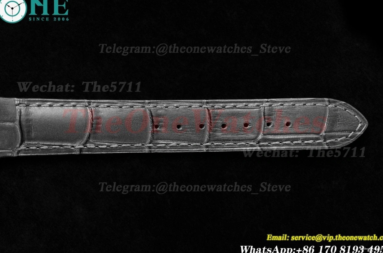 Quartz Grey Dumont Santos SS Dial AF LE Silver 0116